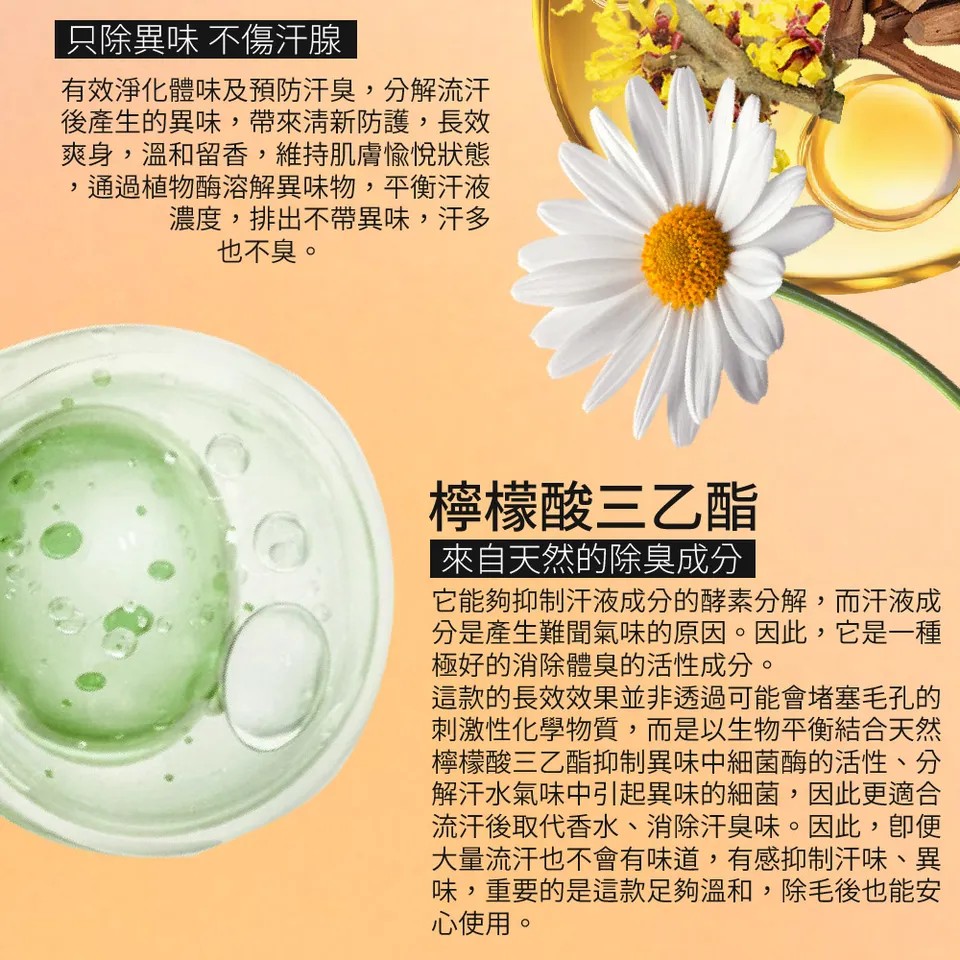 【澳思萊AUS LIFE】橙山茶體香劑60mlX3 圖 9