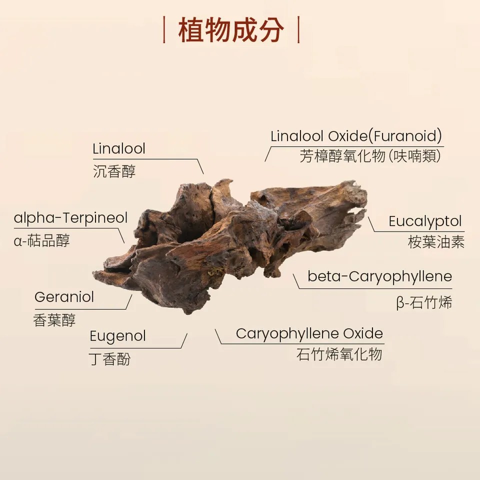 【澳維花園Aus Garden】花梨木精油16ml 圖 5