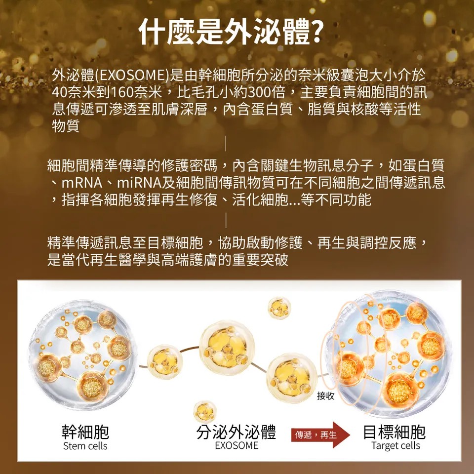 【BEAUTY CROWN】玫瑰外泌體無敵原精 50ml 圖 5