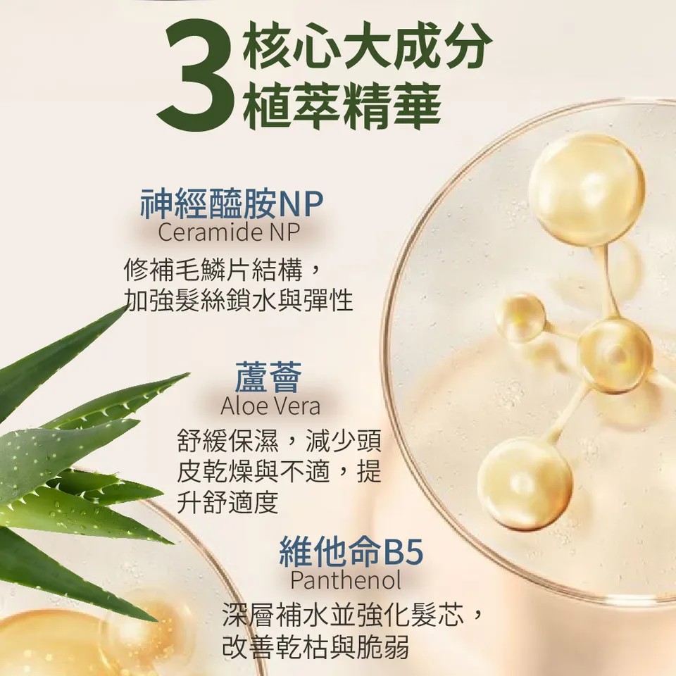 【BEAUTY CROWN】黃金玫瑰B5洗髮精 500ml 圖 5