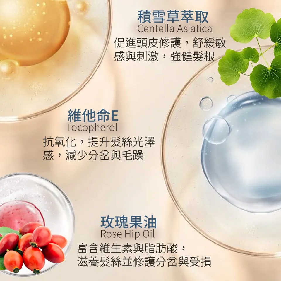 【BEAUTY CROWN】黃金玫瑰B5洗髮精 500ml 圖 6