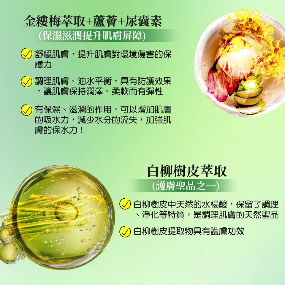 【澳思萊AUS LIFE】茶樹調理淨化 3入組 圖 13