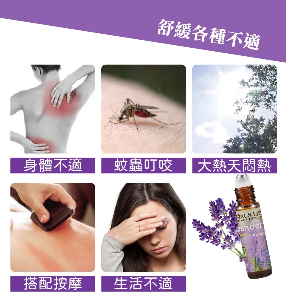【澳思萊AUS LIFE】薰衣草滾珠舒緩霜 3入組 圖 12