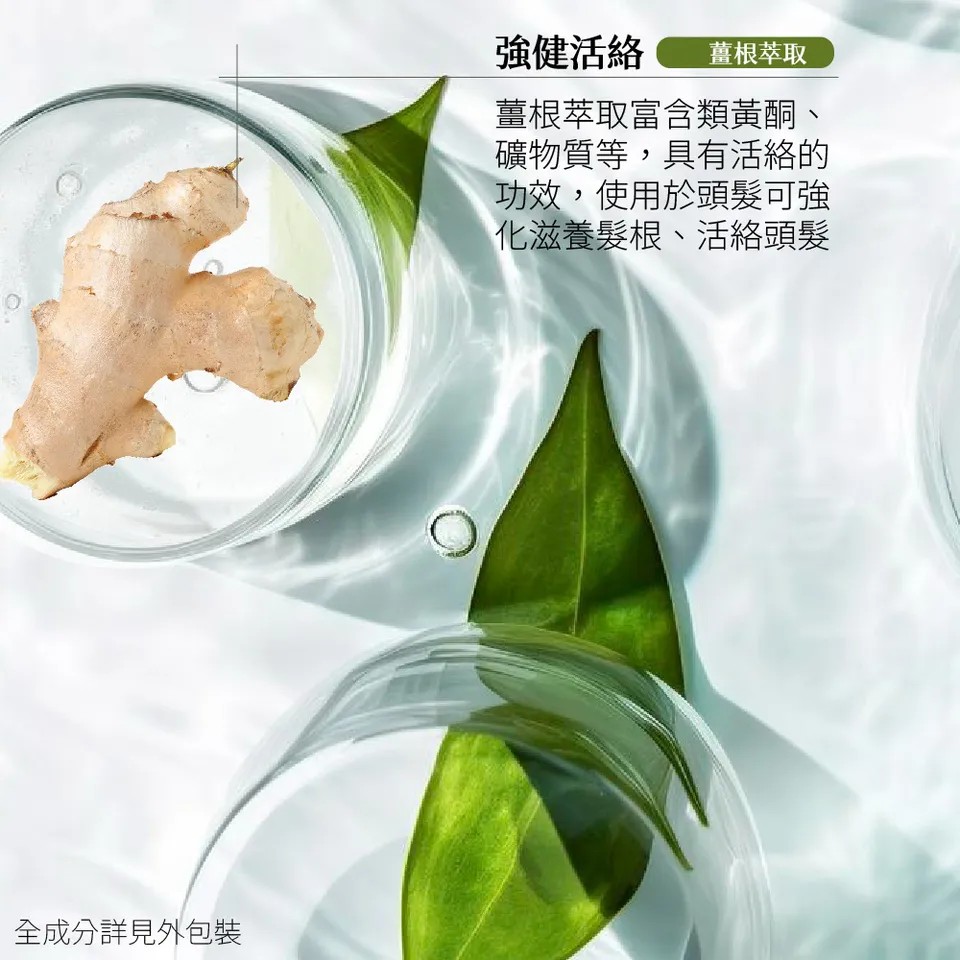 【MAPOROO】頭皮護理澎彈洗髮乳 550ml 圖 8