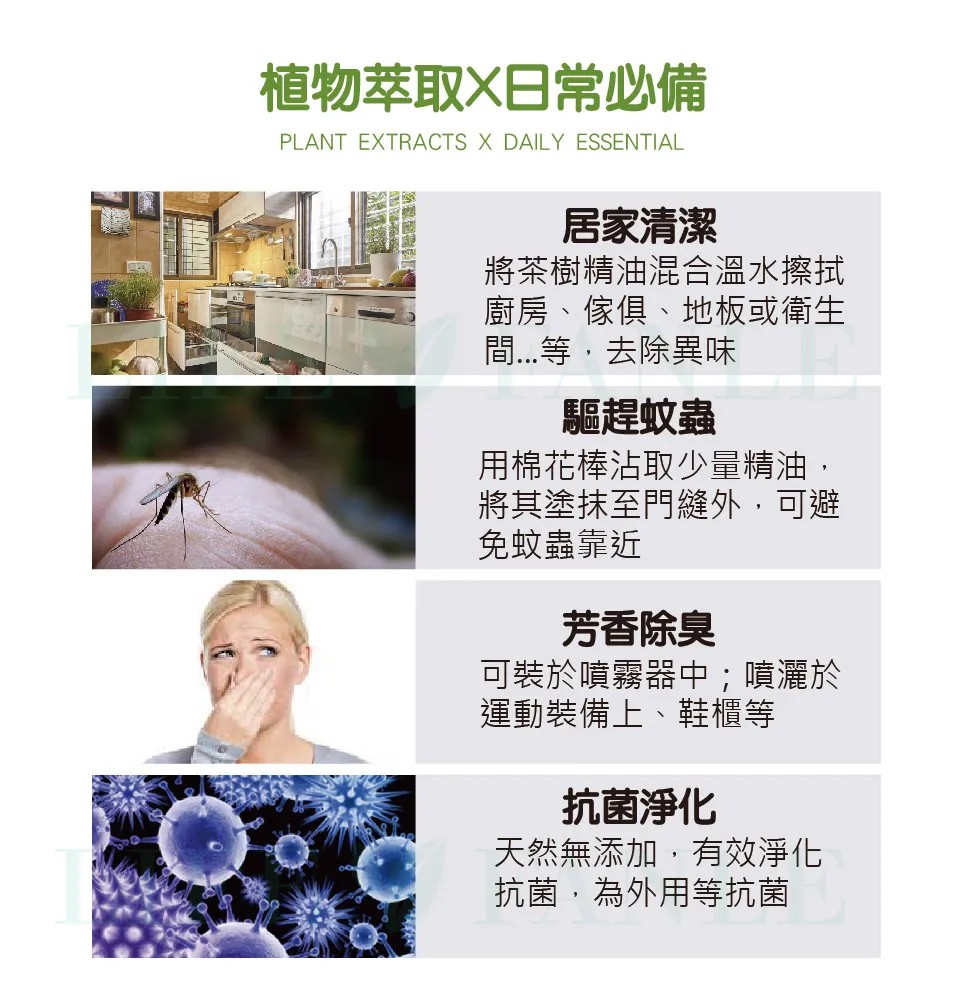 【LIFE FANLE】水溶性澳洲茶樹精油 200ml 圖 5