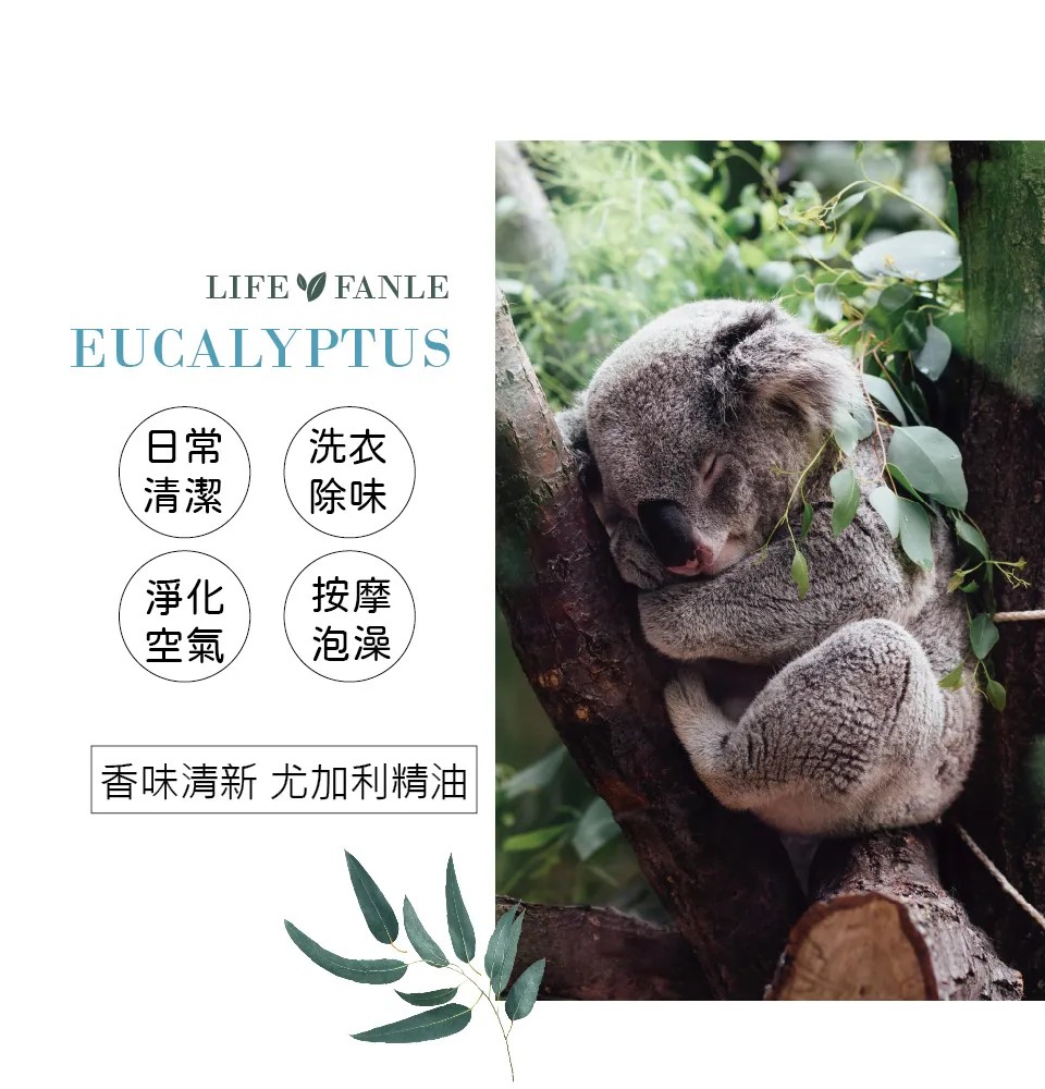 【LIFE FANLE】水溶性澳洲尤加利精油 200ml 圖 6