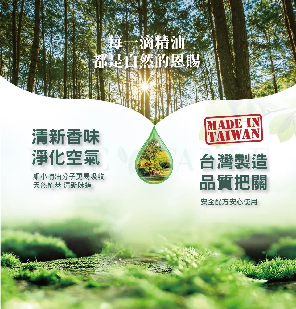 【LIFE FANLE】水溶性澳洲尤加利精油 200ml 圖 7
