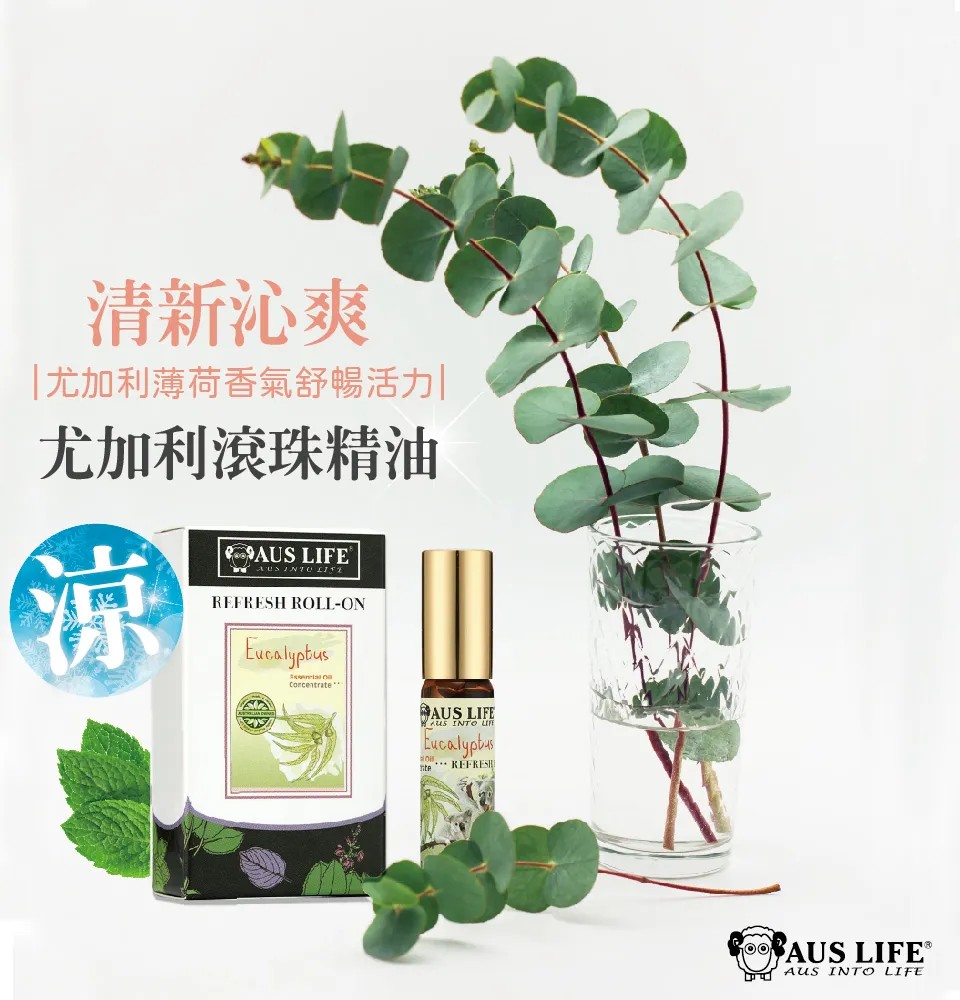 【澳思萊AUS LIFE】尤加利滾珠精油 5.3ml 圖 3