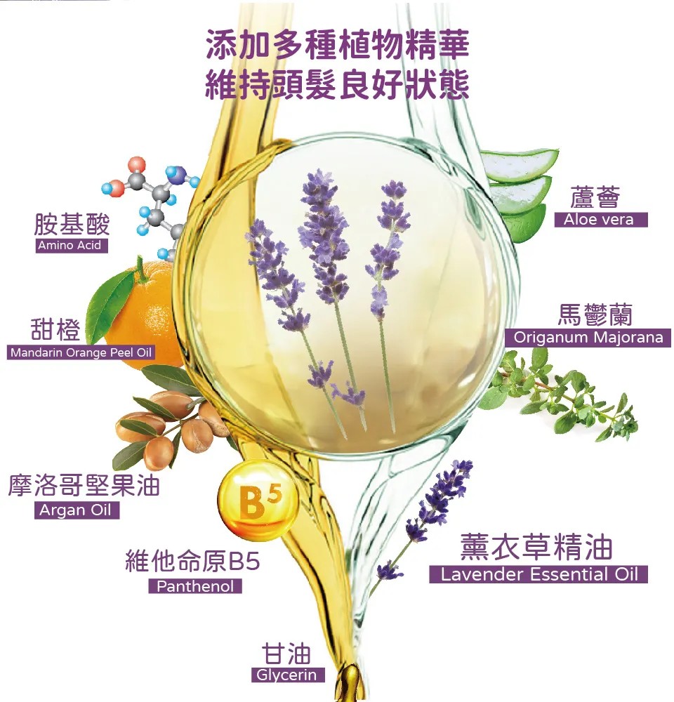 【澳思萊AUS LIFE】薰衣草活絡健康洗髮精 500ml 圖 5