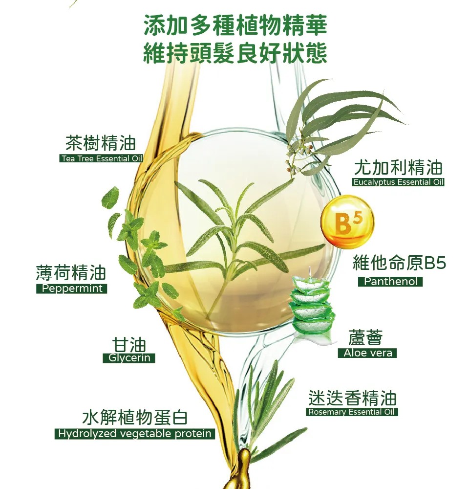 【澳思萊AUS LIFE】茶樹調理活化洗髮精露 500ml 圖 5