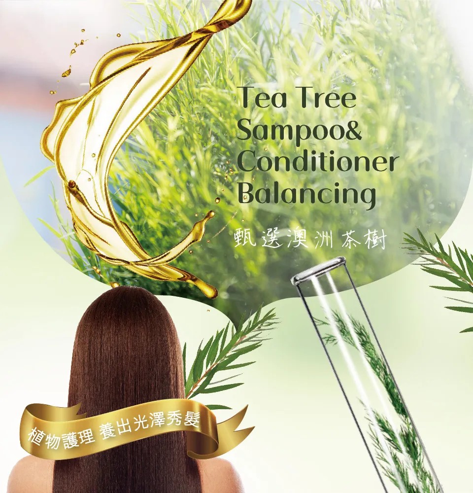 【澳思萊AUS LIFE】茶樹調理活化洗髮精露 500ml 圖 6