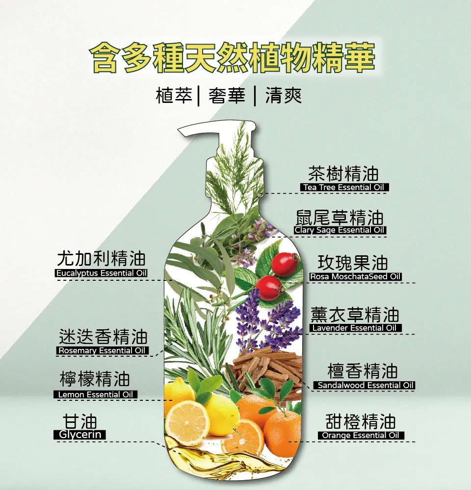 【澳思萊AUS LIFE】茶樹調理控油沐浴精露 500ml 圖 5