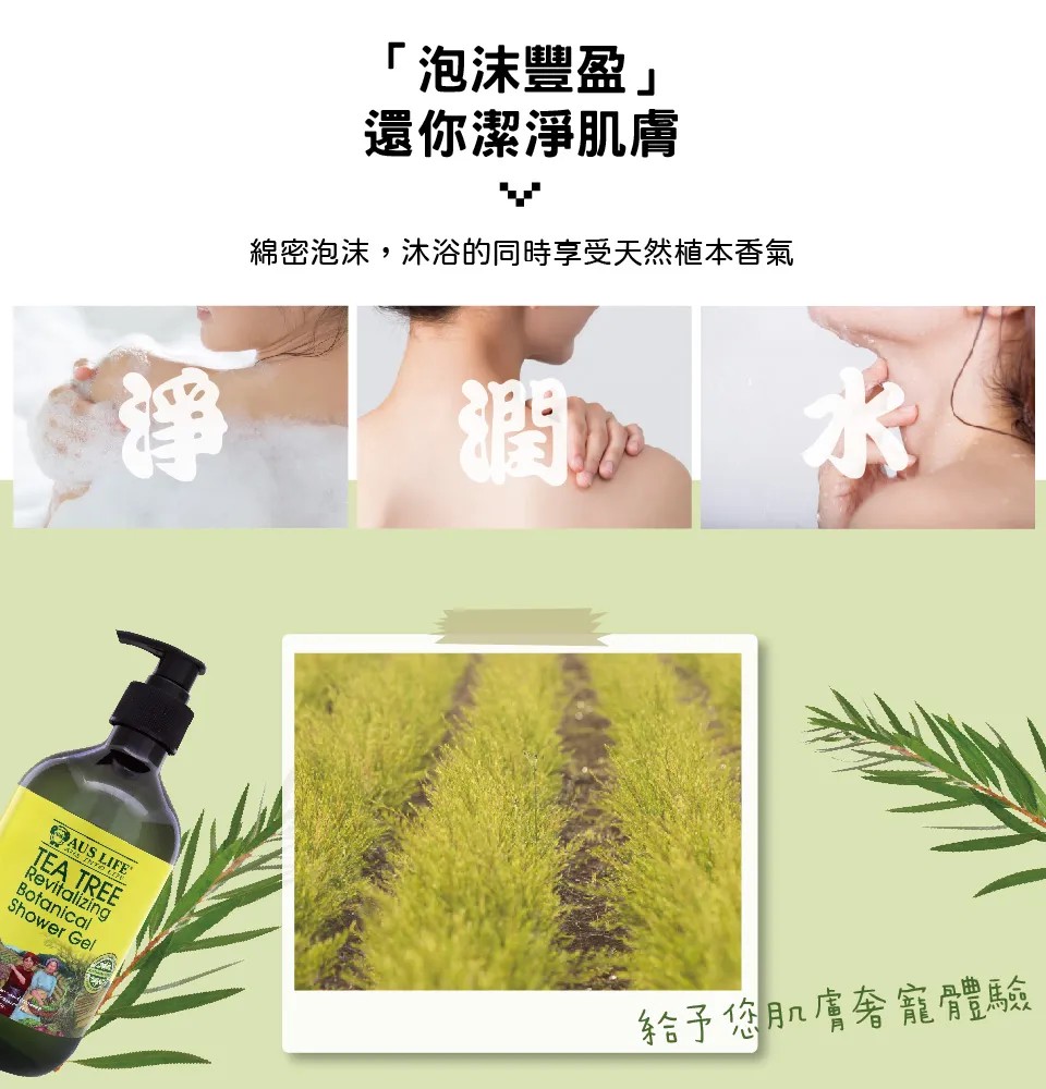 【澳思萊AUS LIFE】茶樹調理控油沐浴精露 500ml 圖 4