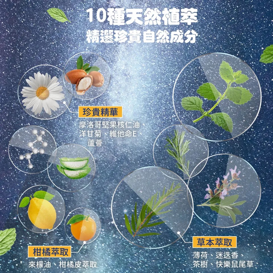 【澳思萊AUS LIFE】咖啡因薄荷舒涼洗髮精 550ml 圖 5