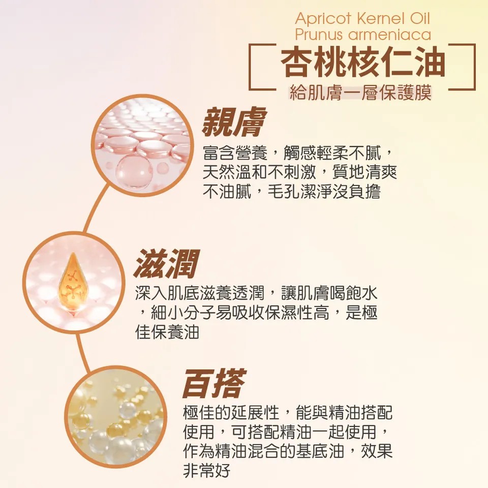 【澳維花園Aus Garden】杏桃核仁油 200ml 圖 5