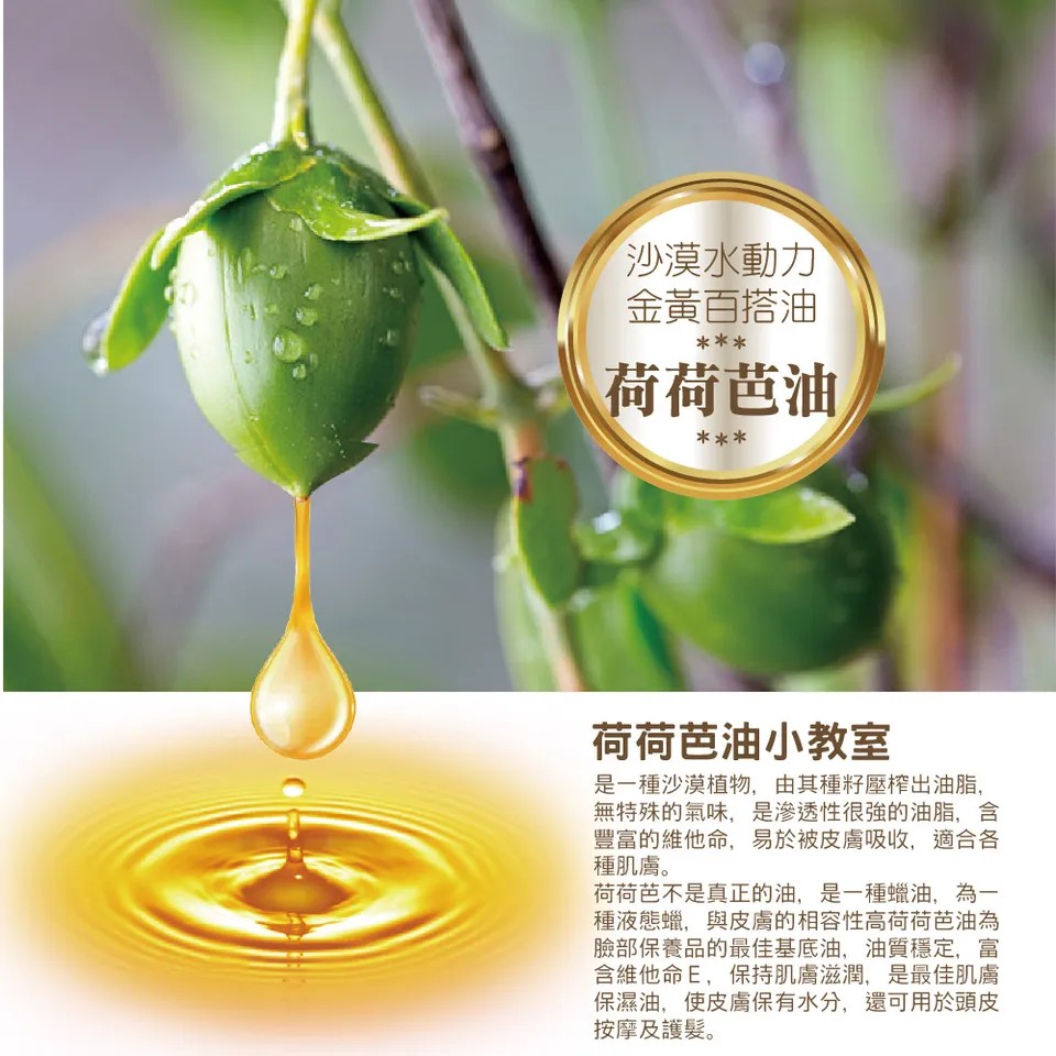 【澳維花園Aus Garden】頂級荷荷芭精粹油 100ml 圖 5
