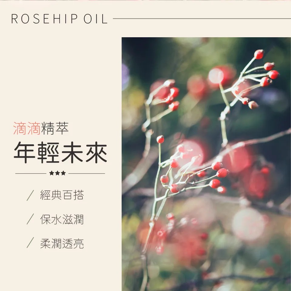 【澳維花園Aus Garden】玫瑰果緊實按摩精油 155ml 圖 5