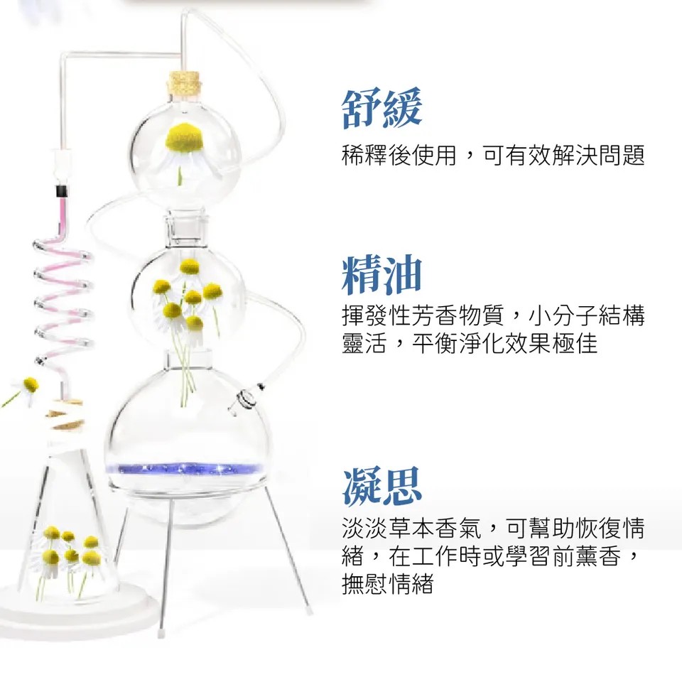 【澳維花園Aus Garden】德國洋甘菊精油 16ml 圖 3