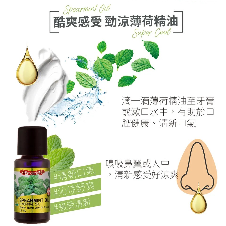 【澳維花園Aus Garden】綠薄荷精油 16ml 圖 8