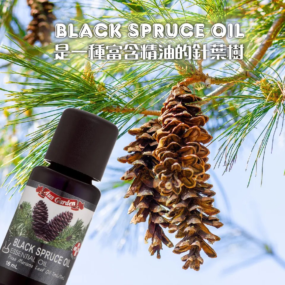 【澳維花園Aus Garden】黑雲杉精油 16ml 圖 5