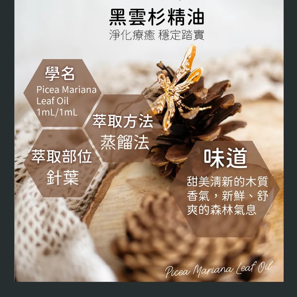 【澳維花園Aus Garden】黑雲杉精油 16ml 圖 7