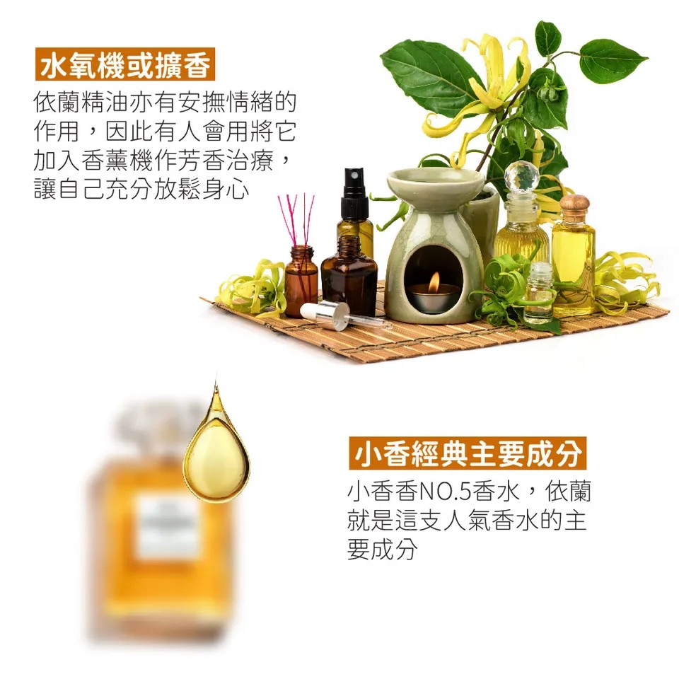 【澳維花園Aus Garden】依蘭精油 16ml 圖 5