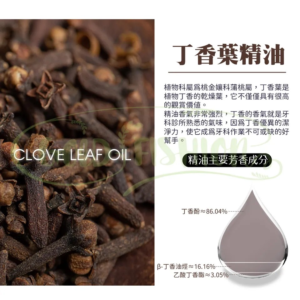 【澳維花園Aus Garden】丁香葉精油 16ml 圖 5