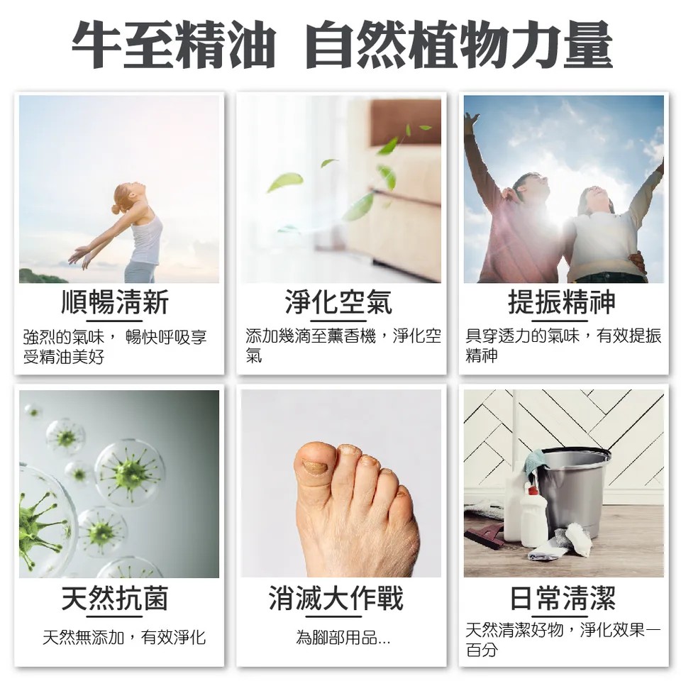 【澳維花園Aus Garden】牛至精油 16ml 圖 3