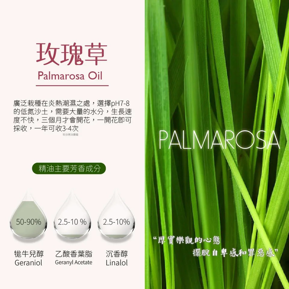 【澳維花園Aus Garden】玫瑰草精油 16ml 圖 6