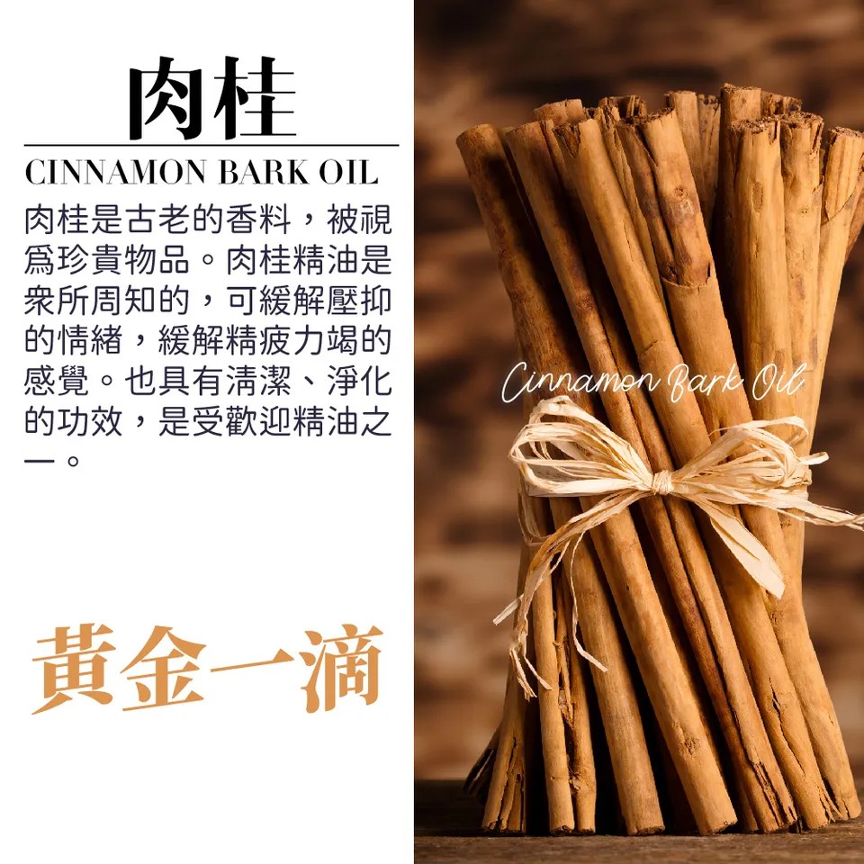 【澳維花園Aus Garden】肉桂精油 16ml 圖 6