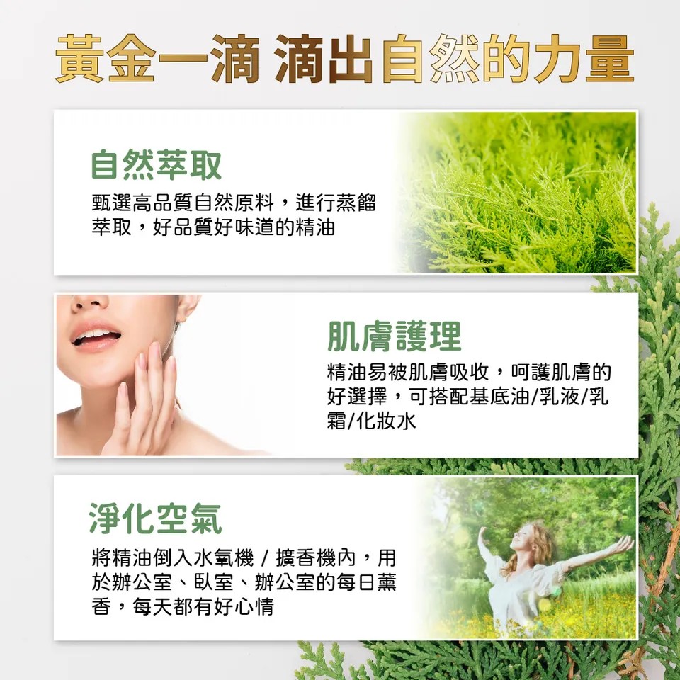 【澳維花園Aus Garden】絲柏精油 16ml 圖 5