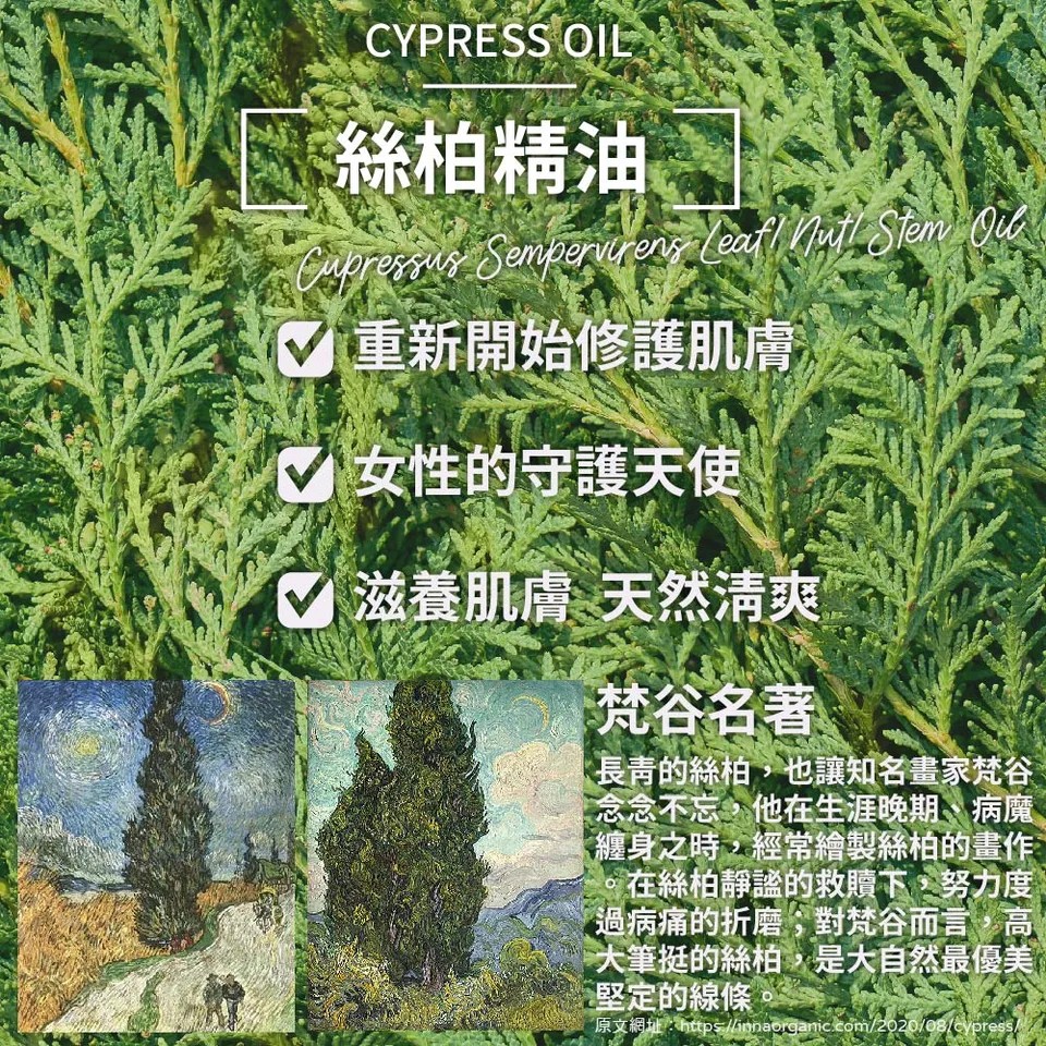 【澳維花園Aus Garden】絲柏精油 16ml 圖 6