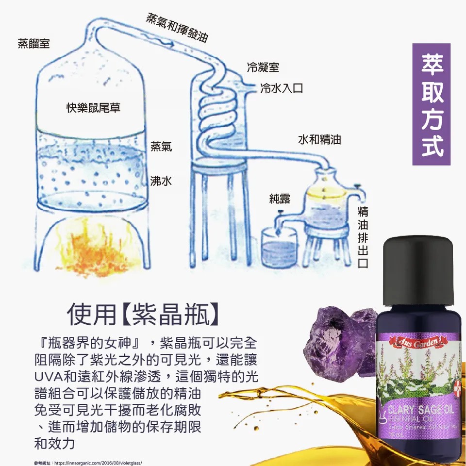 【澳維花園Aus Garden】快樂鼠尾草精油 16ml 圖 6