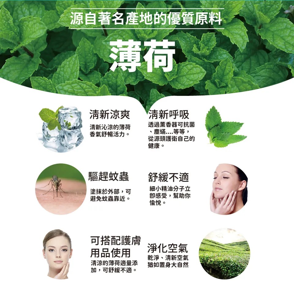 【澳維花園Aus Garden】薄荷精油30ml 圖 6