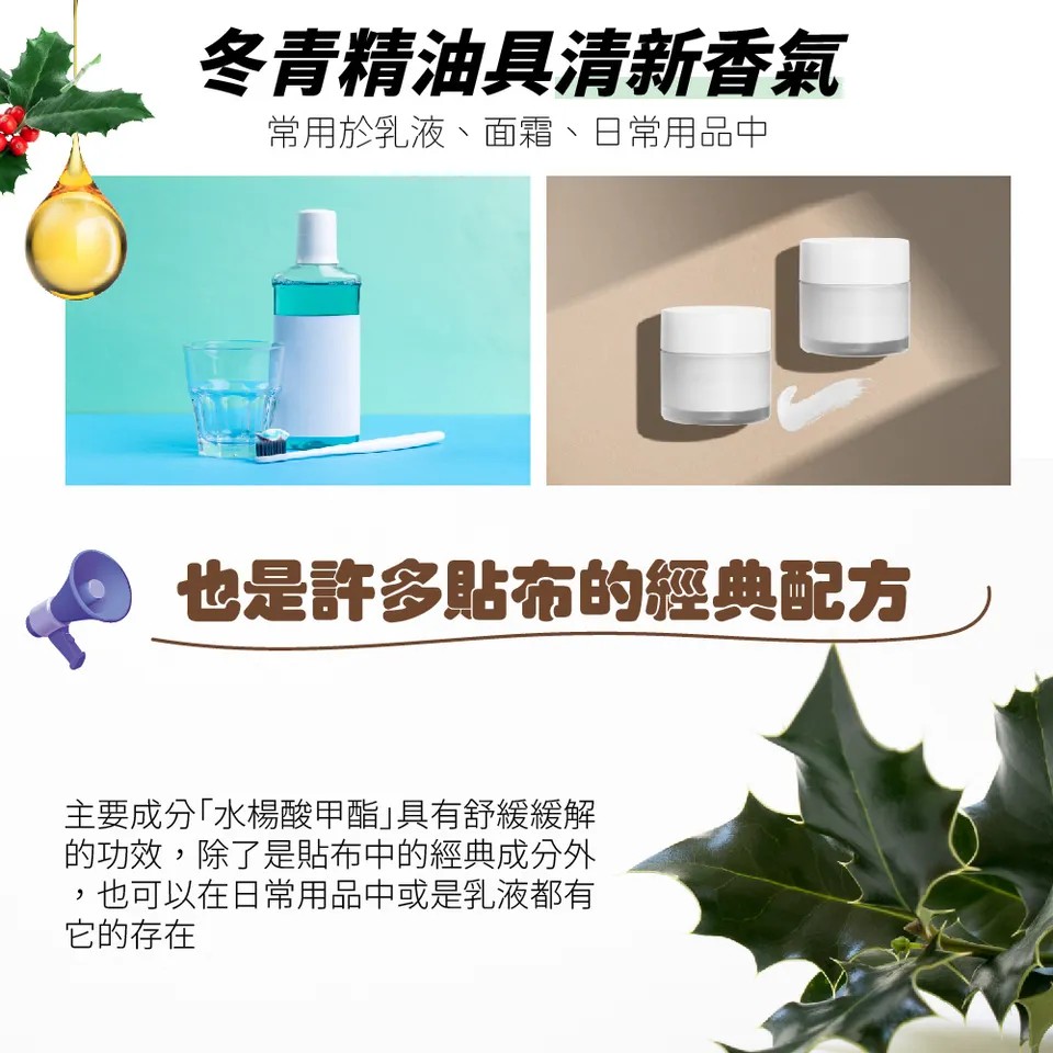 【澳維花園Aus Garden】冬青精油35g 圖 5