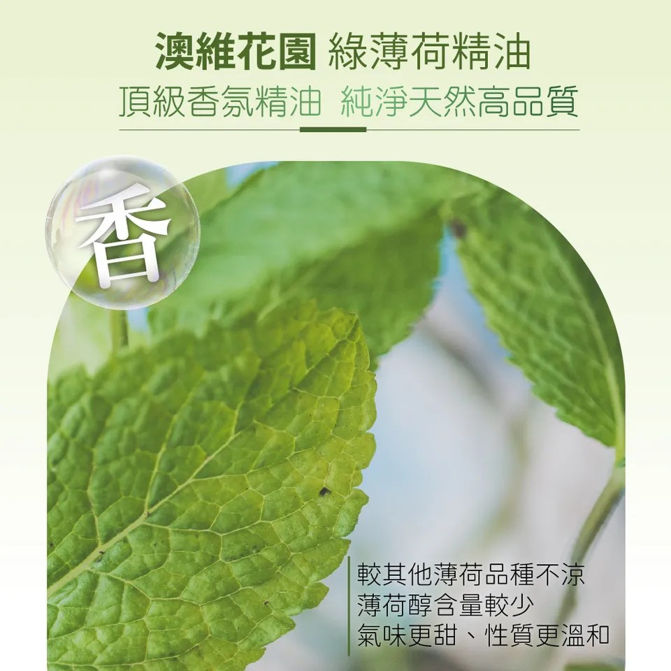 【澳維花園Aus Garden】綠薄荷精油100ml 圖 6