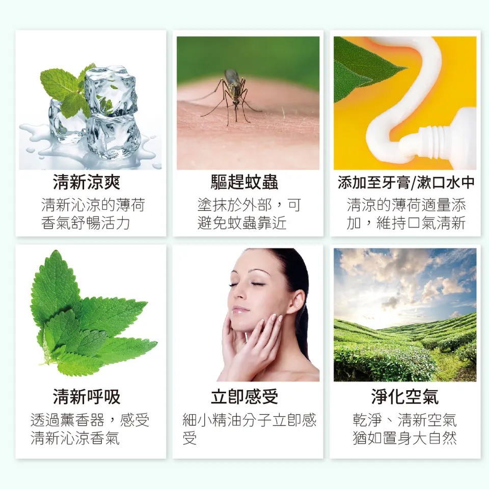 【澳維花園Aus Garden】至尊薄荷精油100ml 圖 5
