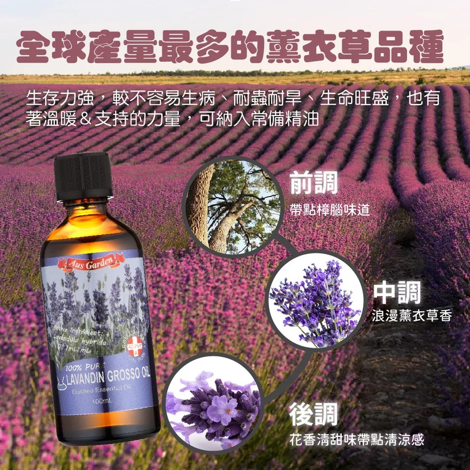 【澳維花園Aus Garden】醒目薰衣草精油100ml 圖 7