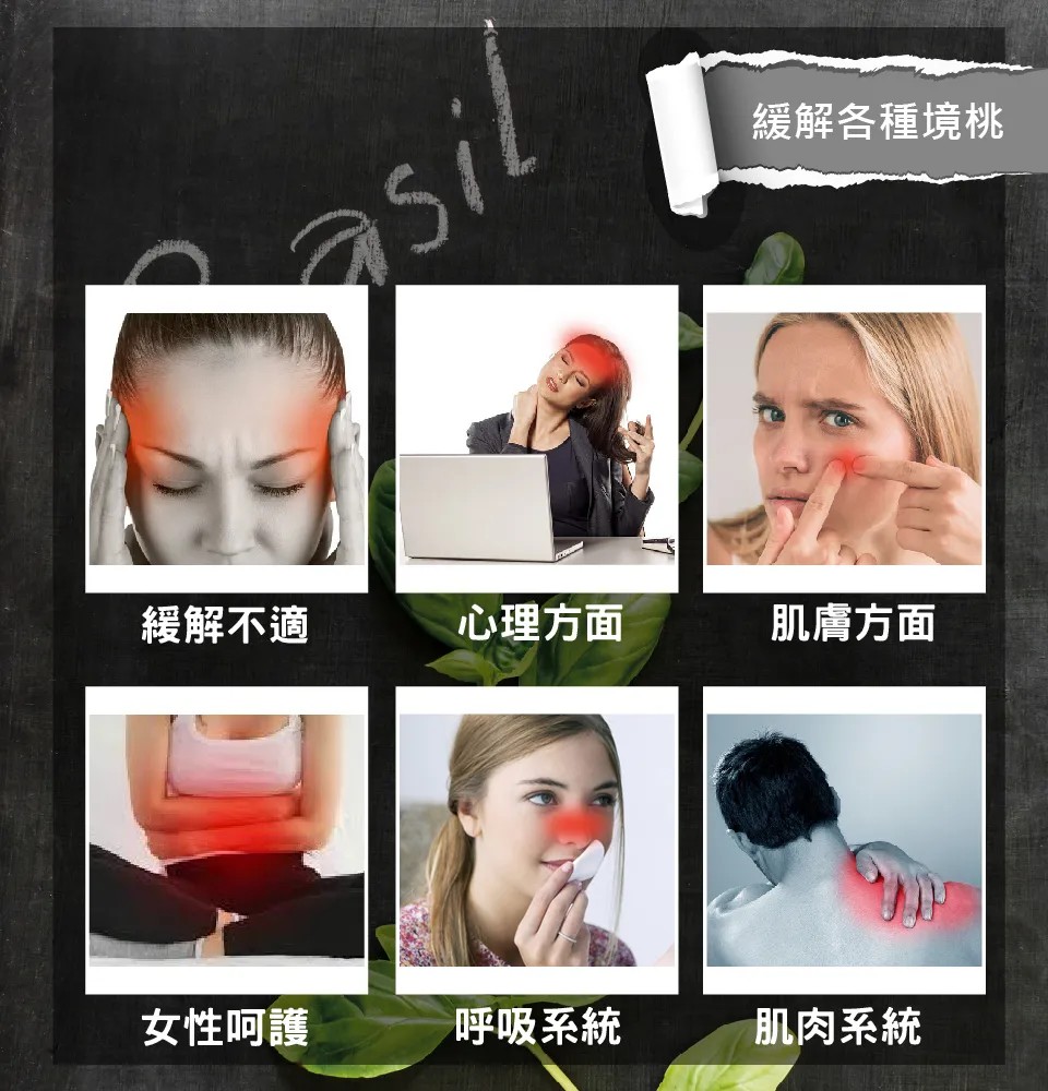 【澳維花園Aus Garden】羅勒精油50ml 圖 5