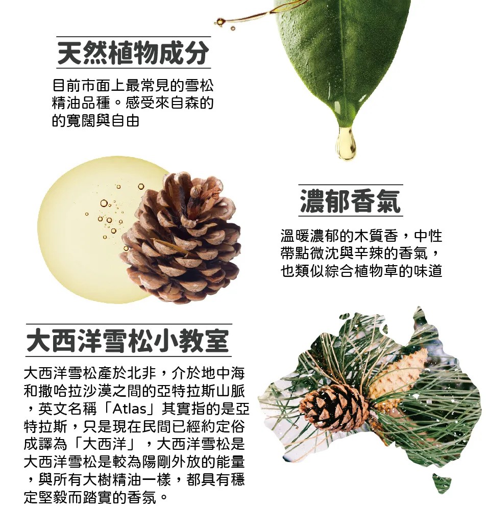 【澳維花園Aus Garden】大西洋雪松精油50ml 圖 6