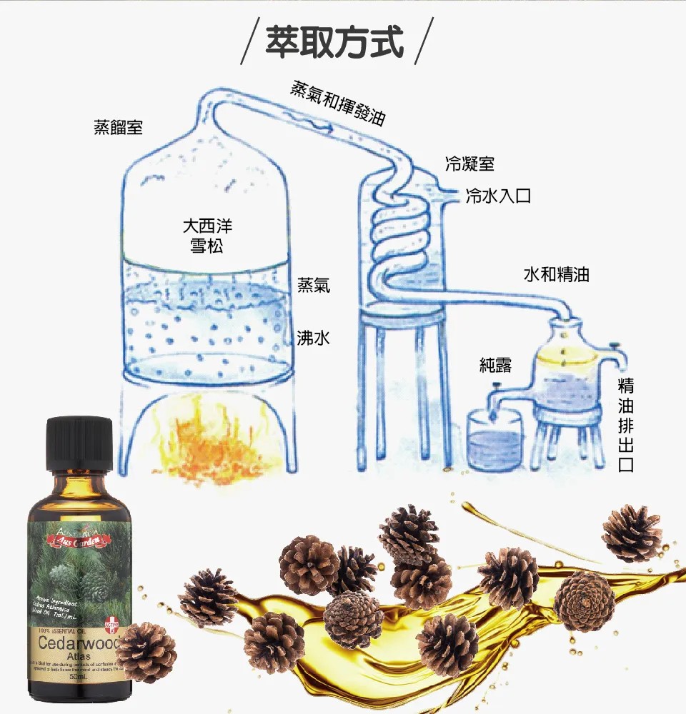 【澳維花園Aus Garden】大西洋雪松精油50ml 圖 5