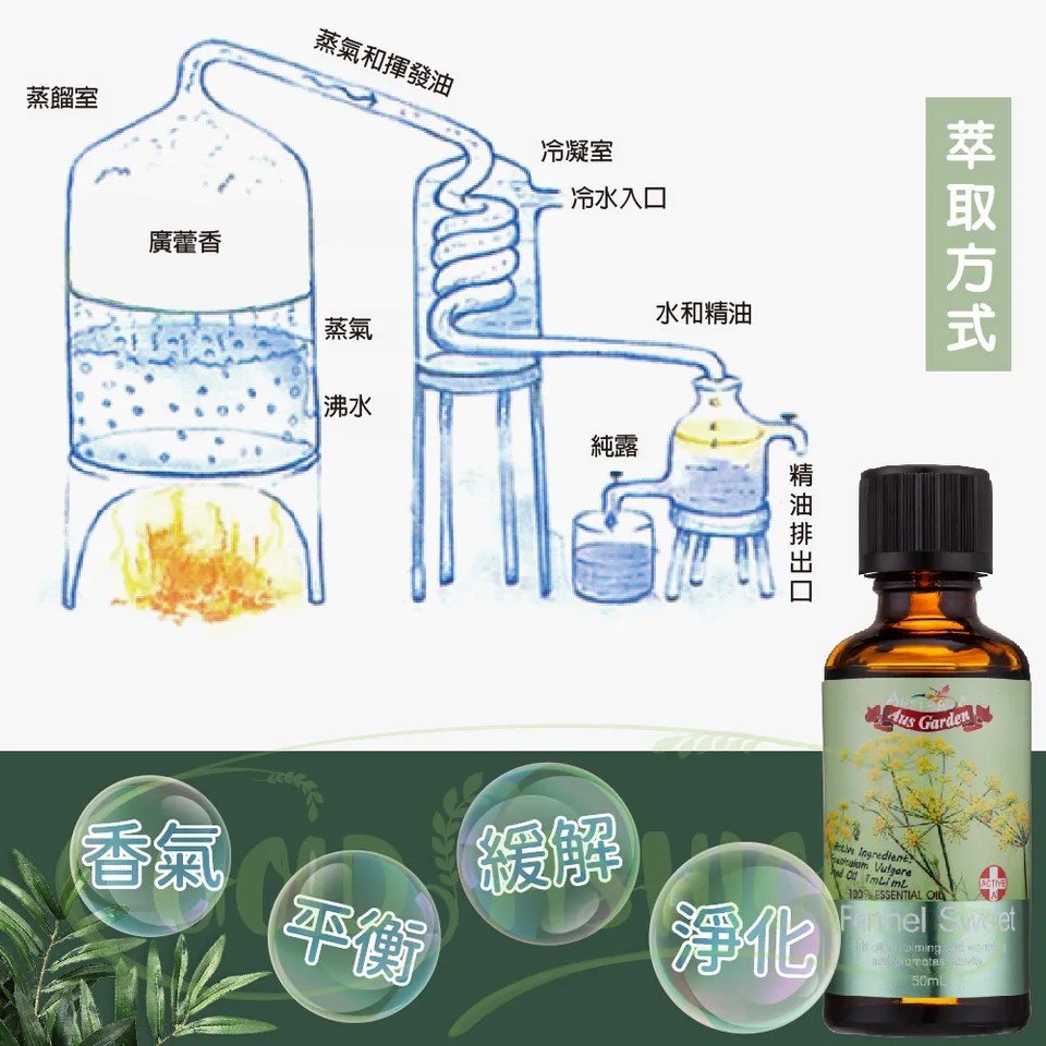 【澳維花園Aus Garden】甜茴香精油50ml 圖 6