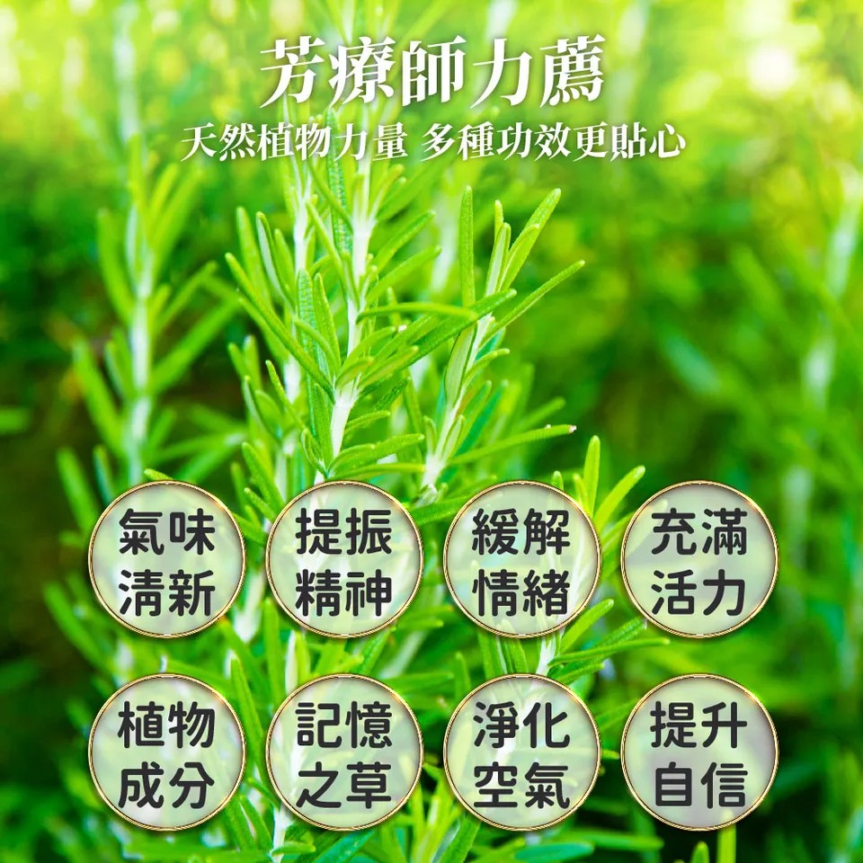 【澳維花園Aus Garden】迷迭香精油50ml 圖 6