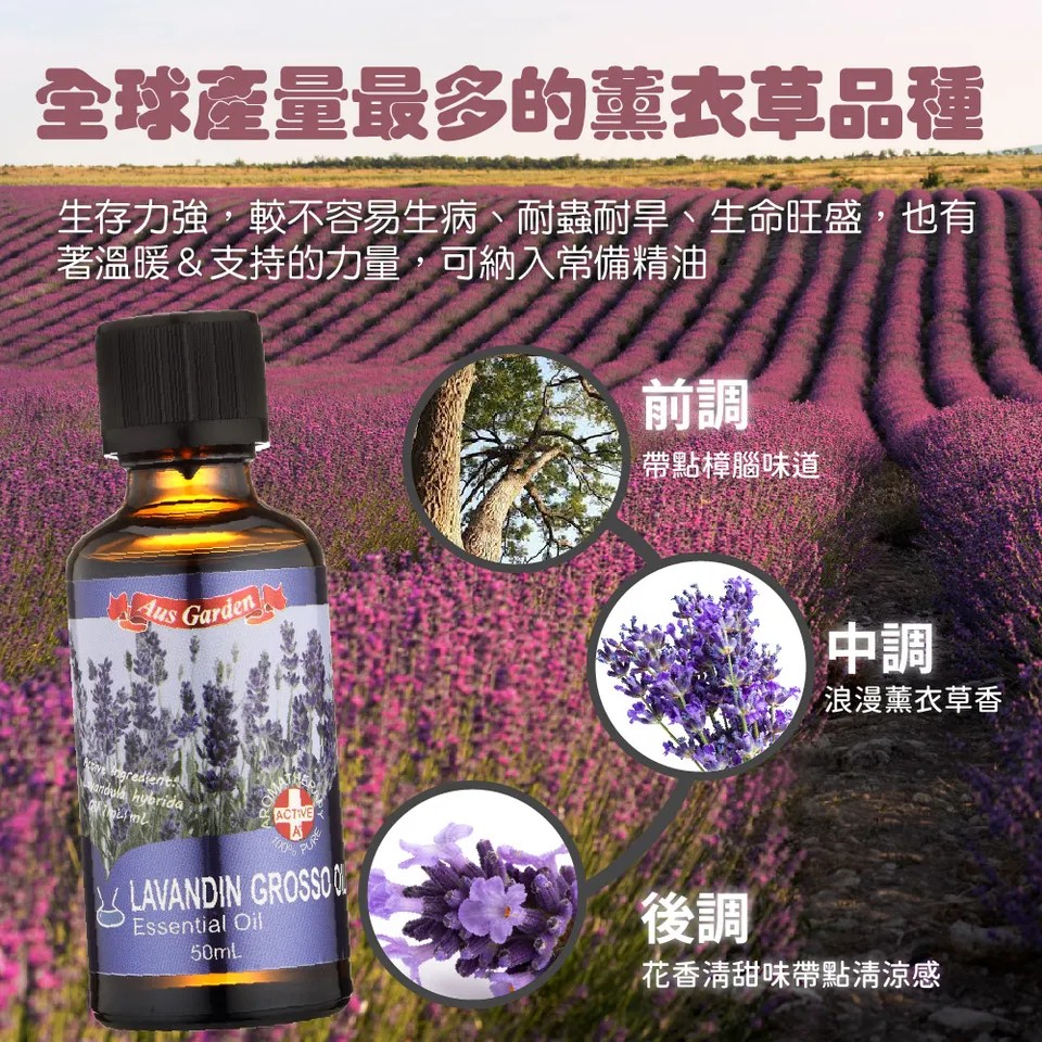 【澳維花園Aus Garden】醒目薰衣草精油50ml 圖 6