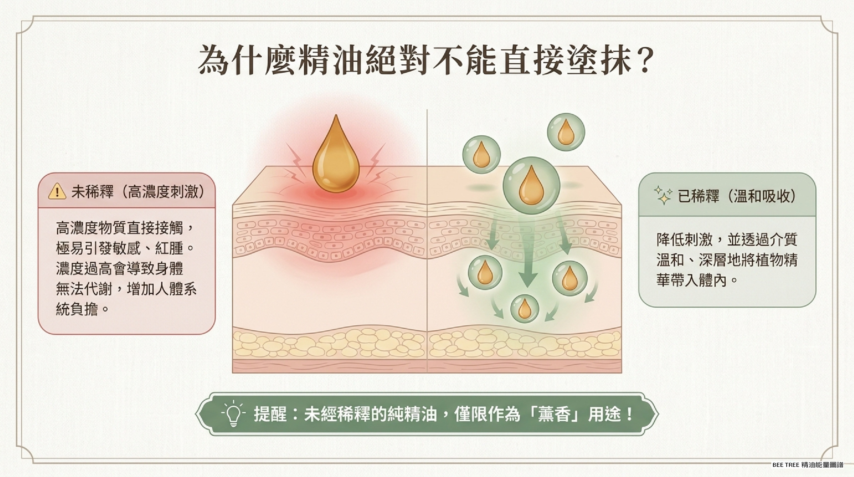 為什麼精油絕對不能直接塗抹？— 未稀釋 vs 已稀釋的皮膚反應對比