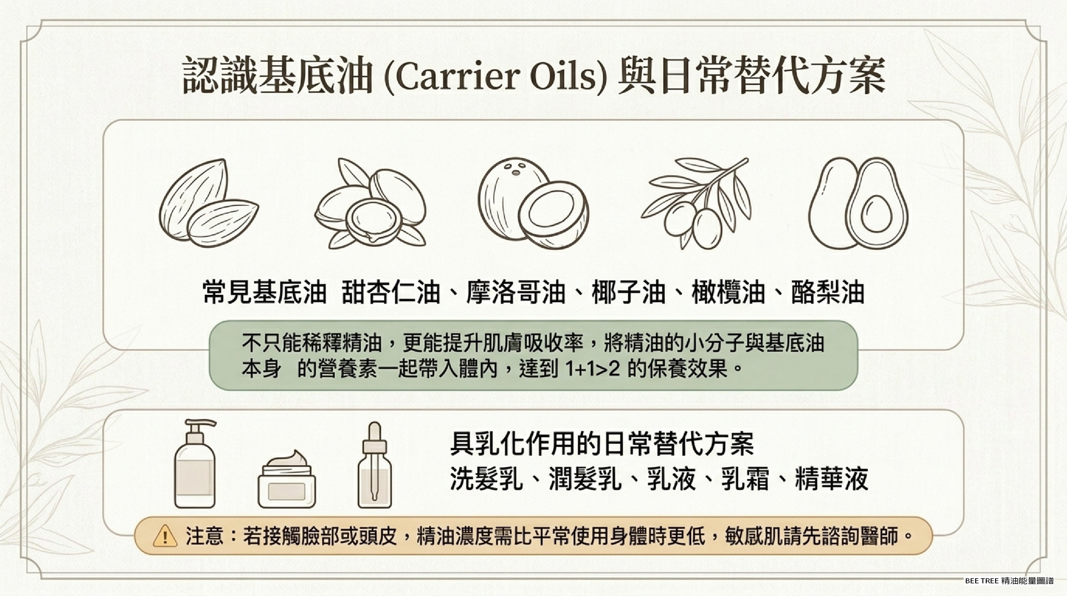 認識基底油 (Carrier Oils) 與日常替代方案 — 5 款常見基底油 + 乳化型替代品