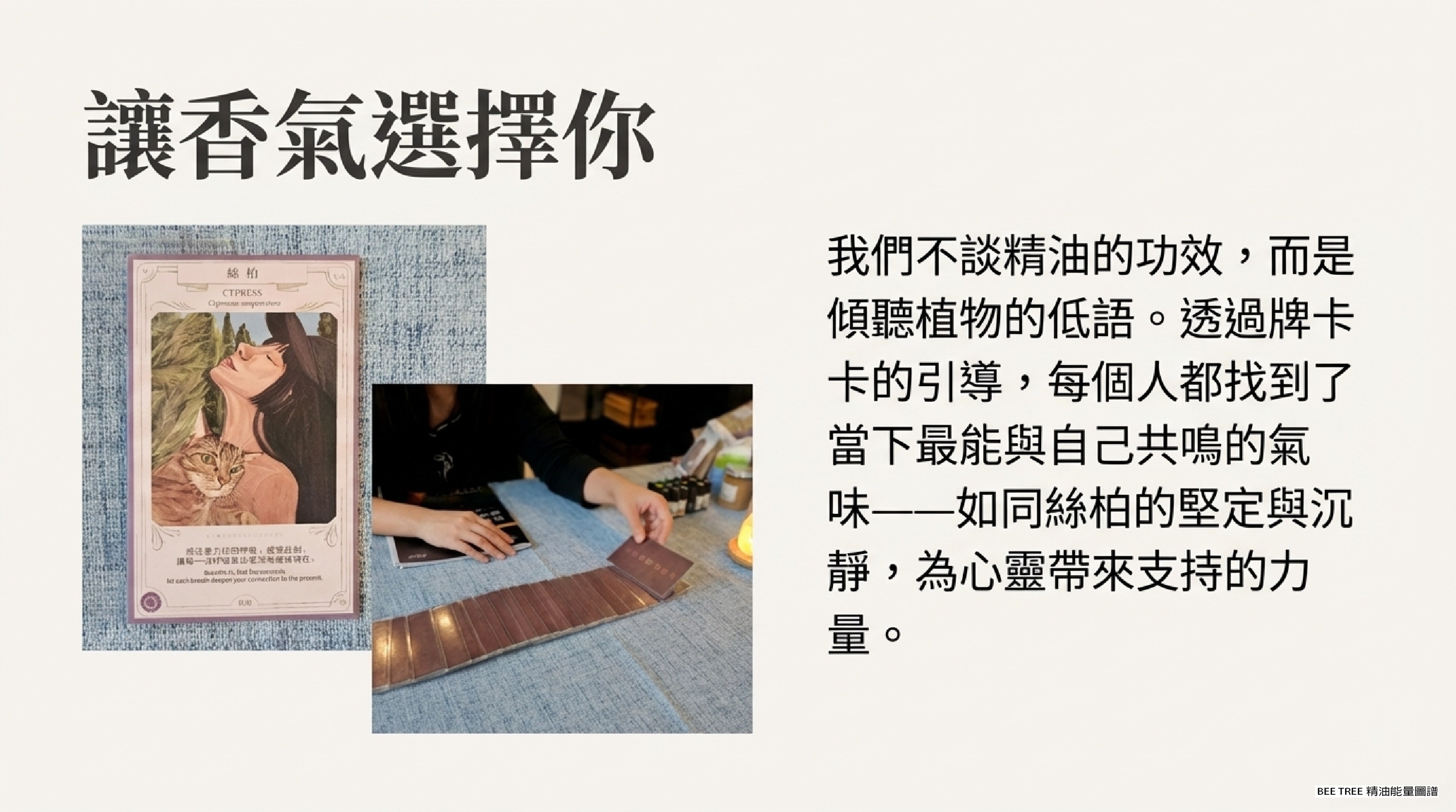 讓香氣選擇你 — 絲柏牌卡 × 試香的指尖瞬間