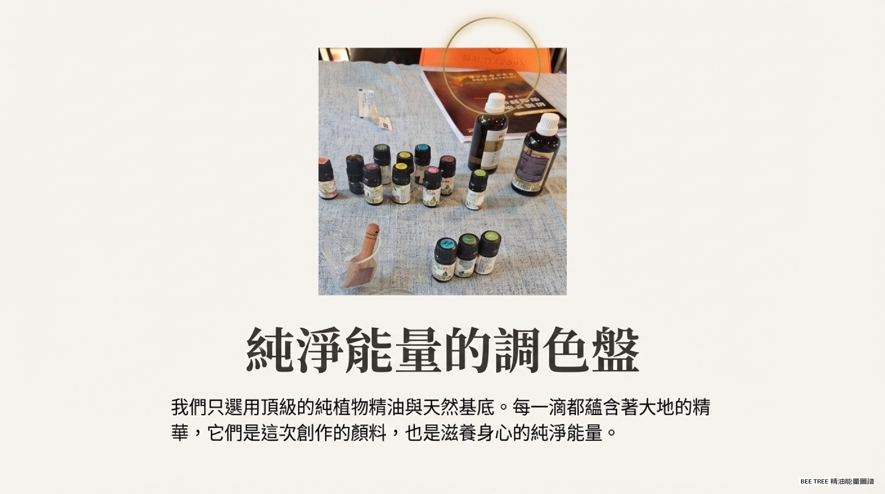 純淨能量的調色盤 — 一整排植物精油與基底油