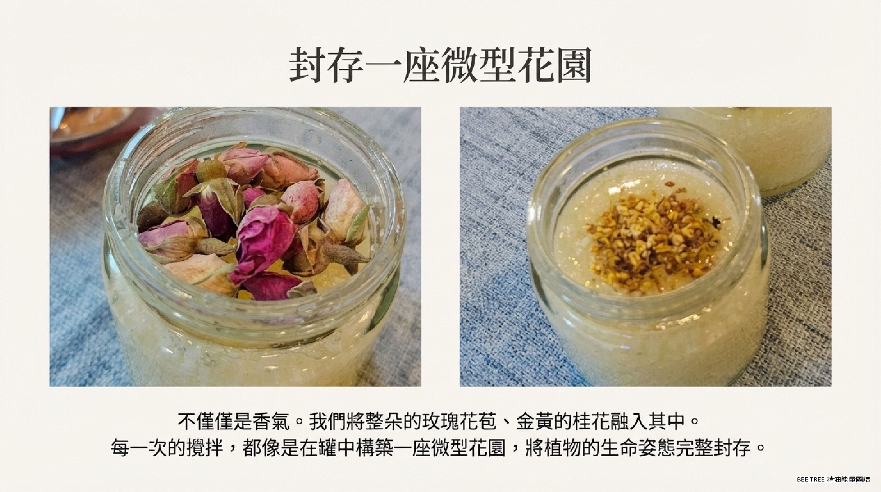 封存一座微型花園 — 玫瑰花苞與桂花在鹽粒中錯落綻放