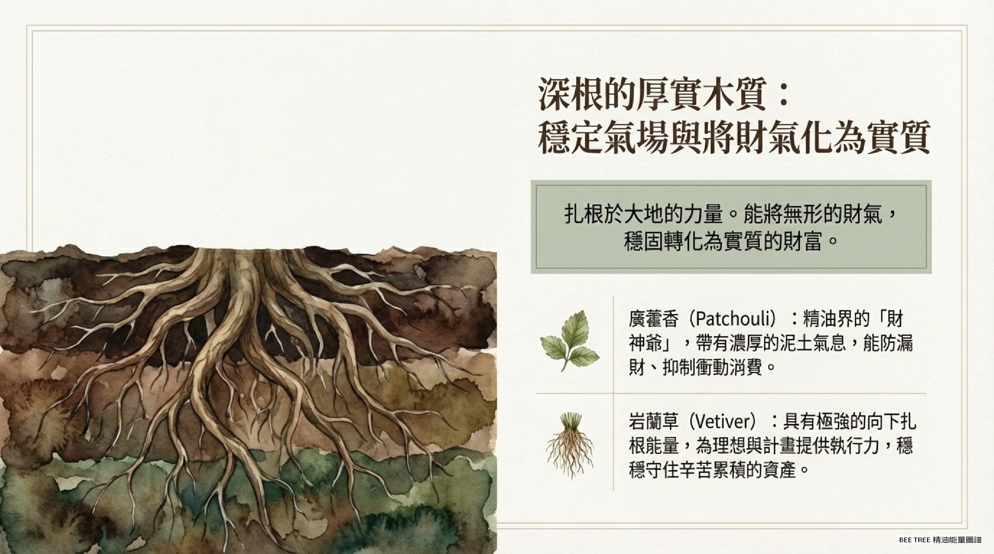 深根的厚實木質 — 廣藿香、岩蘭草（木質調｜穩固守財）